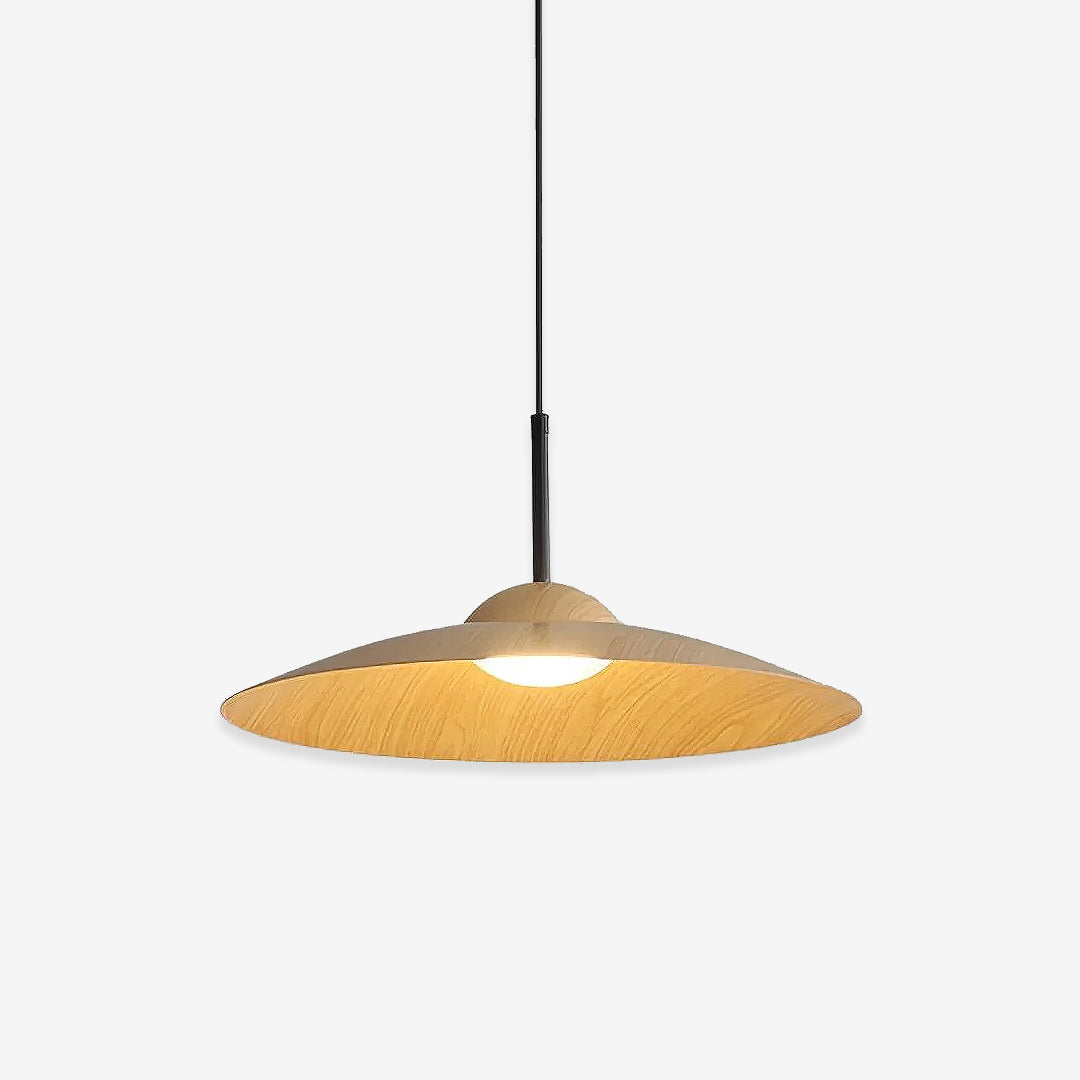 Arcadian LED Pendant Light 13