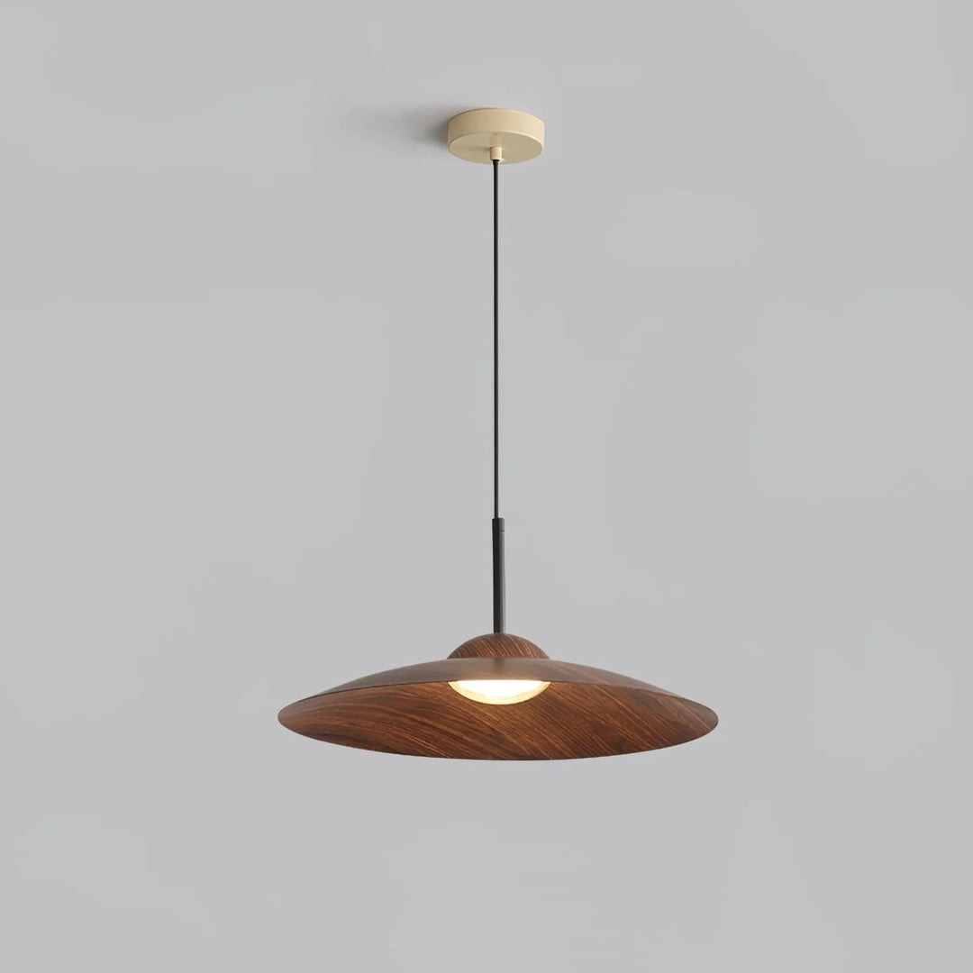 Arcadian LED Pendant Light 14