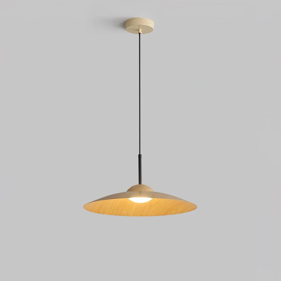 Arcadian LED Pendant Light 16