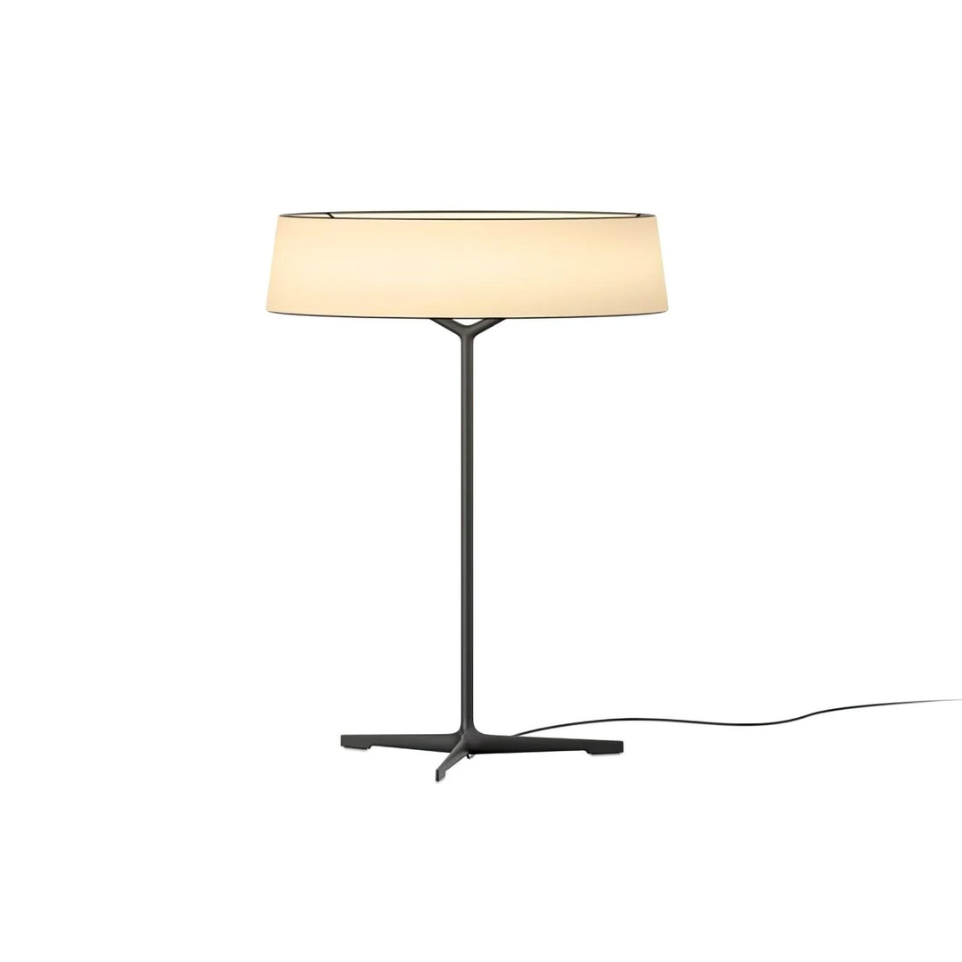 Branch Desk Lamp-33