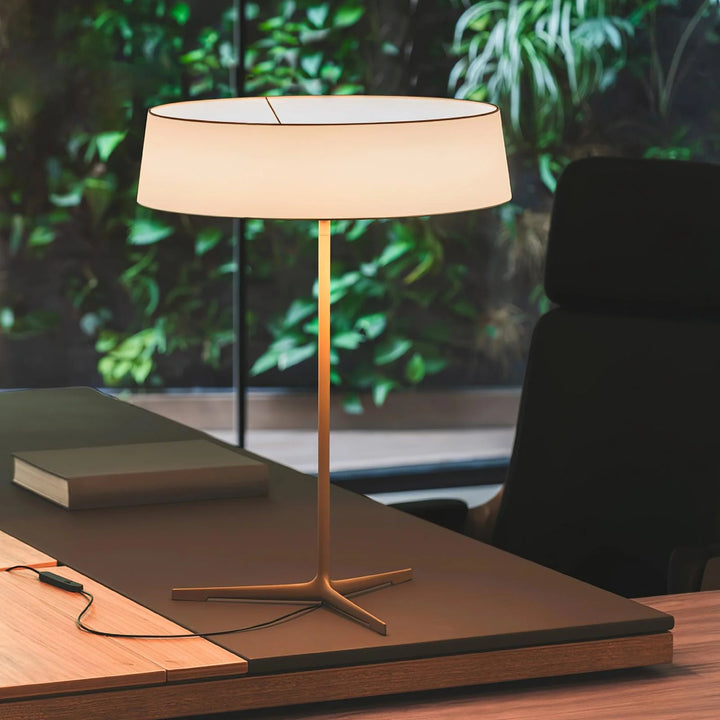 Branch Desk Lamp-9