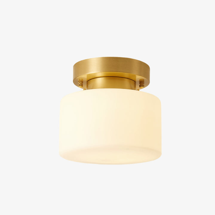 Clinicare_Ceiling_Lamp_01