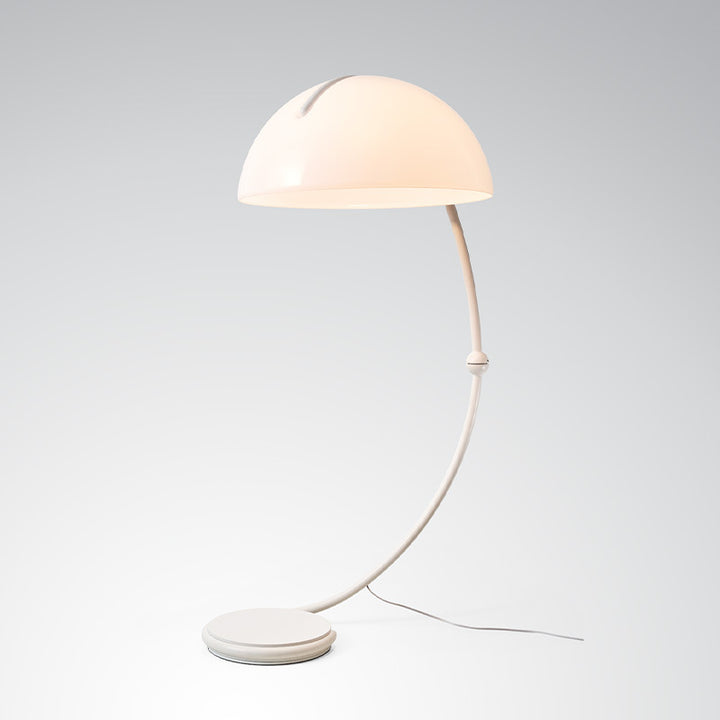 Creative Rotating Floor Lamp 12