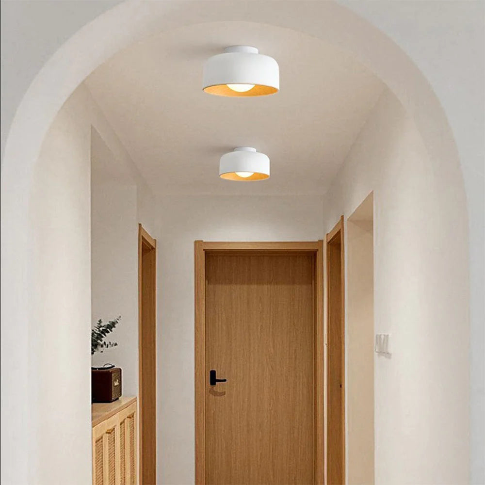 Deku Ceiling Light