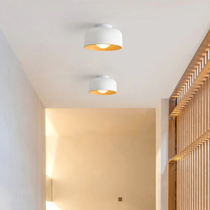 Deku Ceiling Light