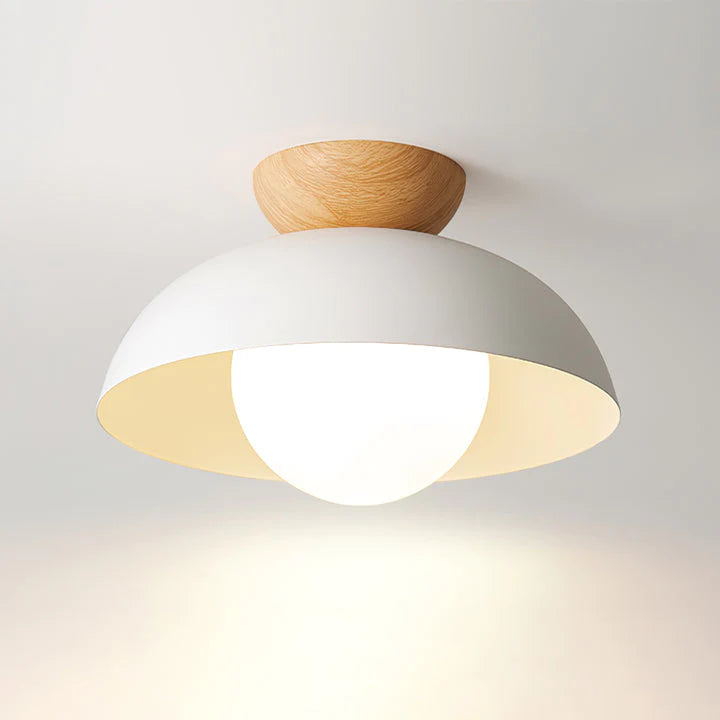 Deku Moderne plafondlamp