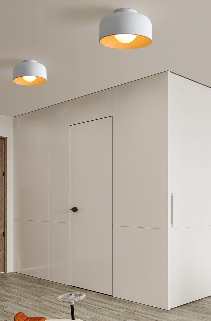 Deku Ceiling Light 13