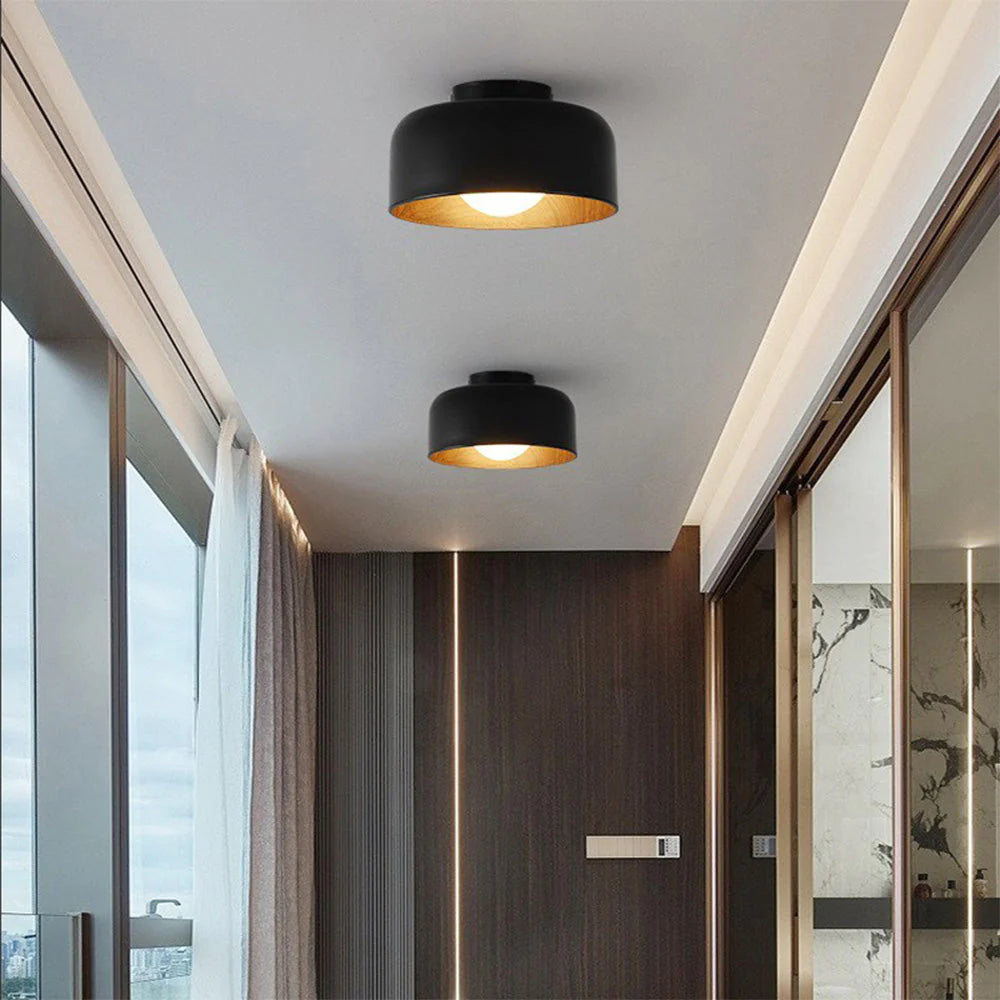 Deku Ceiling Light 2