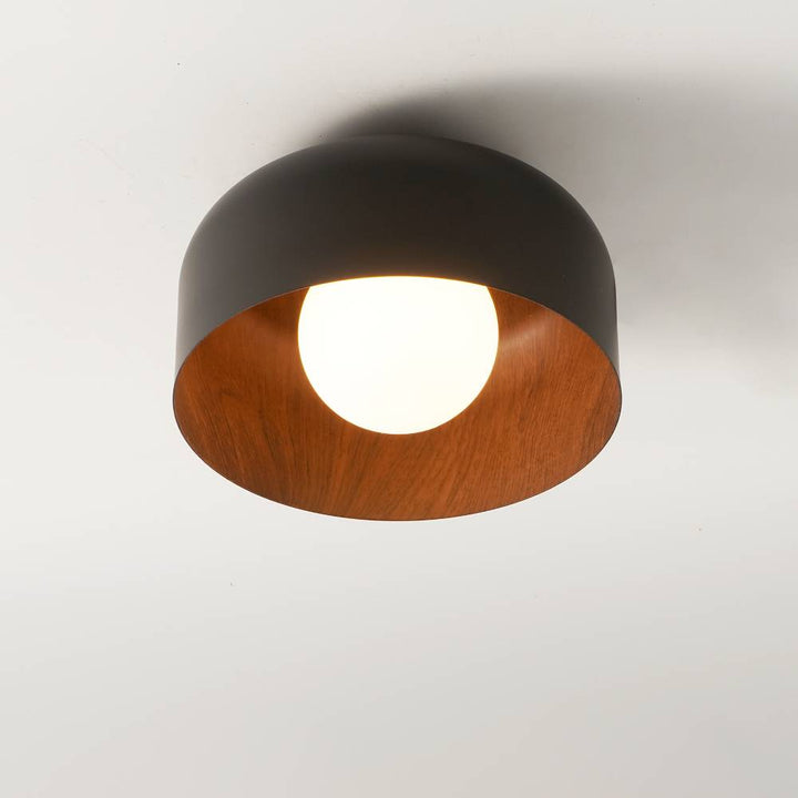 Deku_Ceiling_Light_A_1