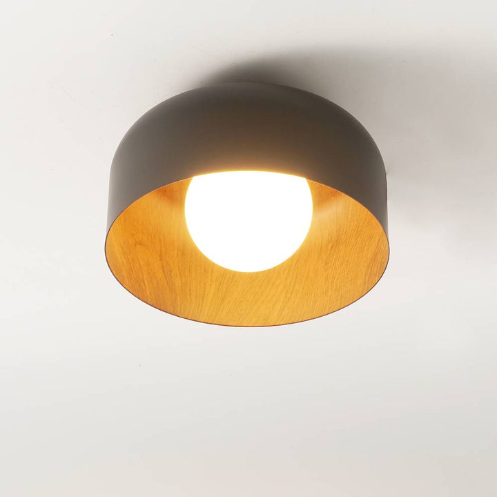 Deku_Ceiling_Light_A_2