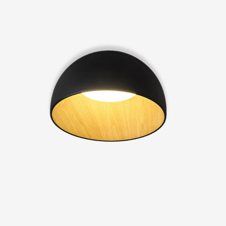 Flat_Mouth_Semicircular_Ceiling_Light_1