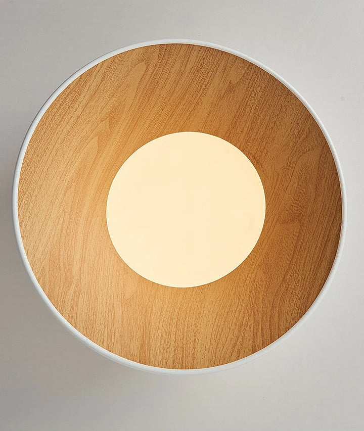 Flat_Mouth_Semicircular_Ceiling_Light_13