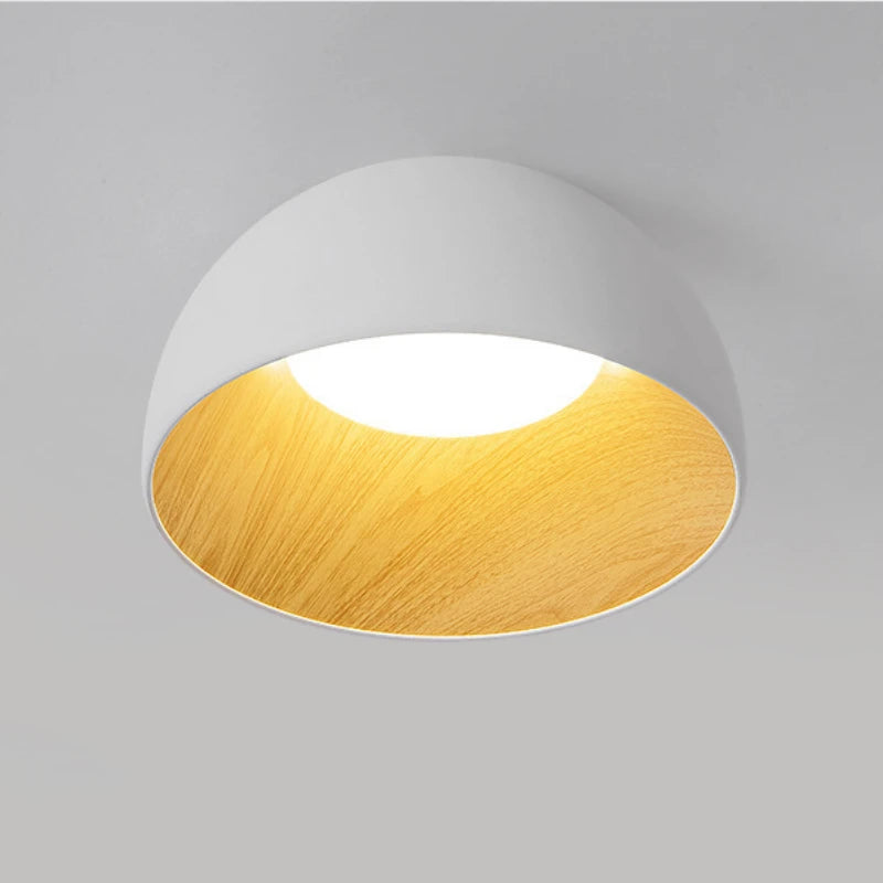 Flat_Mouth_Semicircular_Ceiling_Light_14