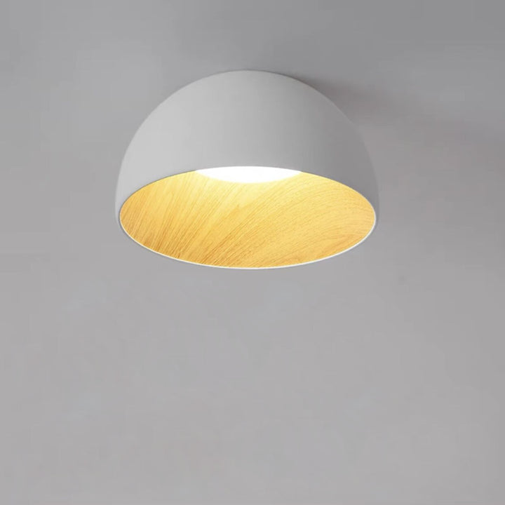 Flat_Mouth_Semicircular_Ceiling_Light_15