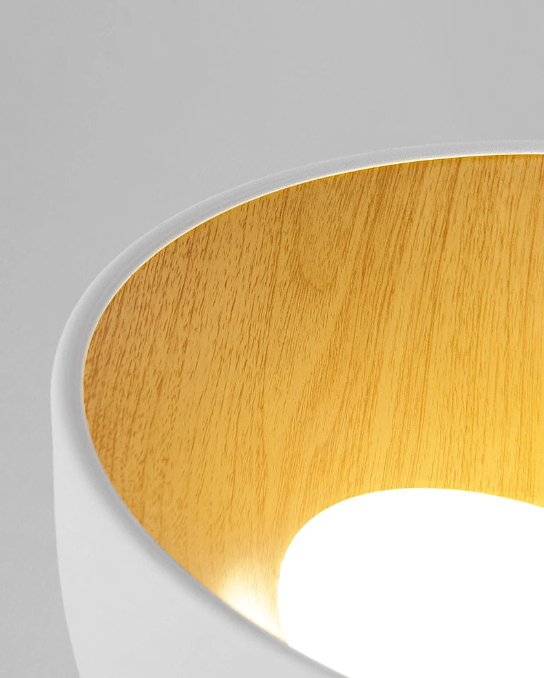 Flat_Mouth_Semicircular_Ceiling_Light_17