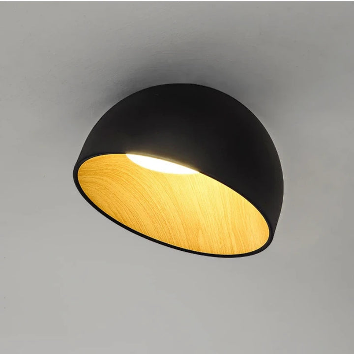 Flat_Mouth_Semicircular_Ceiling_Light_2