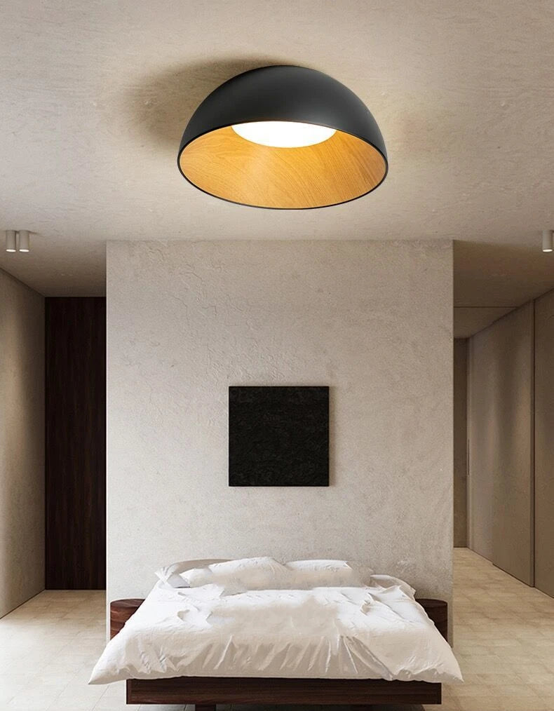 Flat_Mouth_Semicircular_Ceiling_Light_3