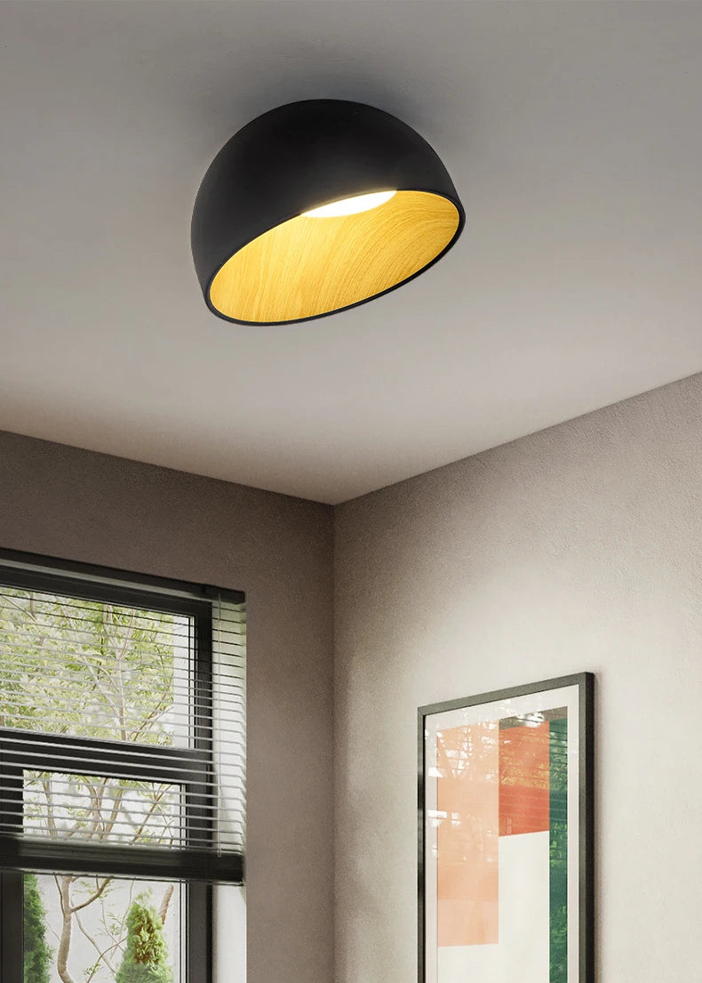 Flat_Mouth_Semicircular_Ceiling_Light_4