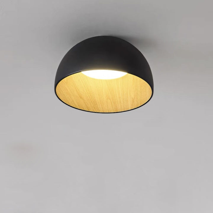 Flat_Mouth_Semicircular_Ceiling_Light_5