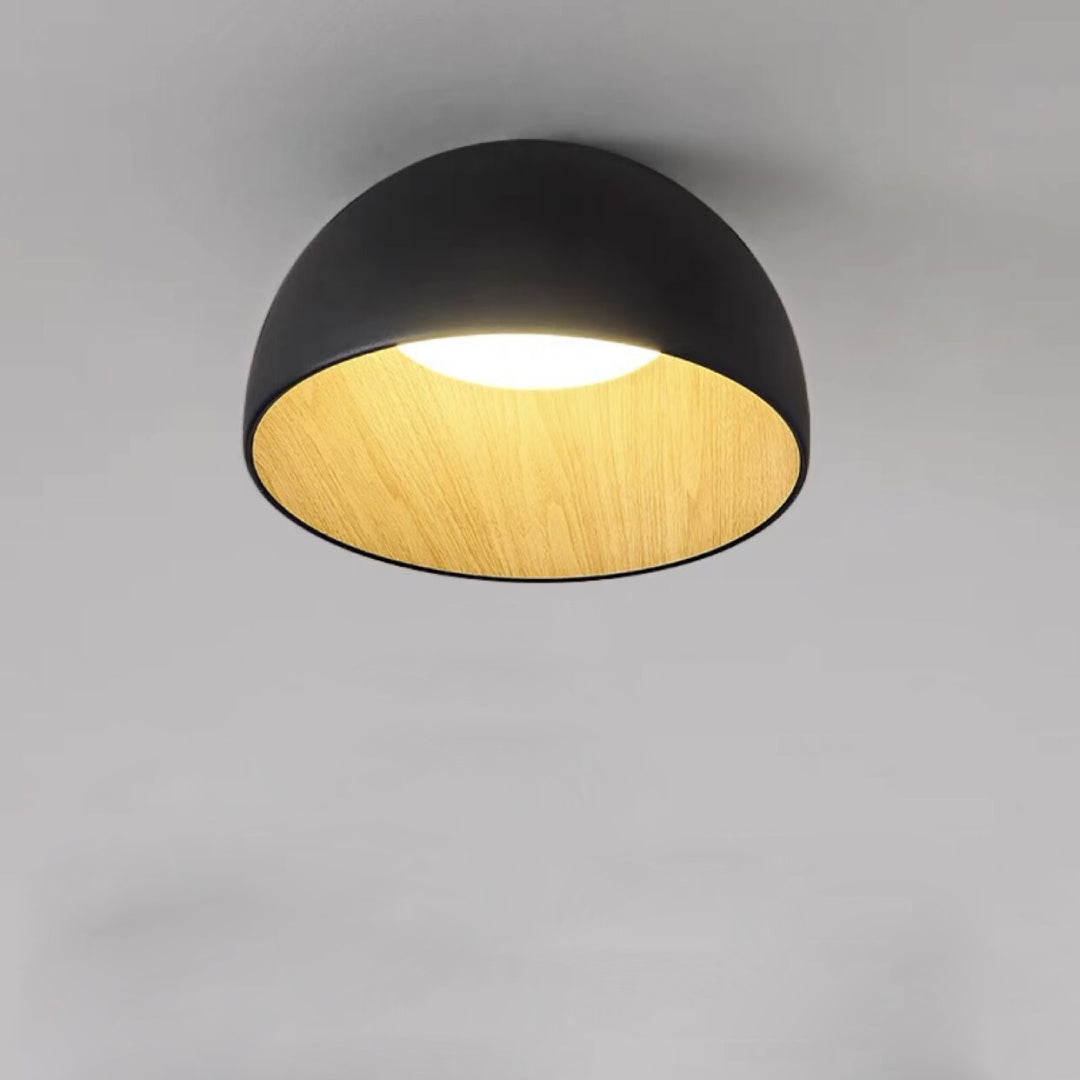 Flat_Mouth_Semicircular_Ceiling_Light_6