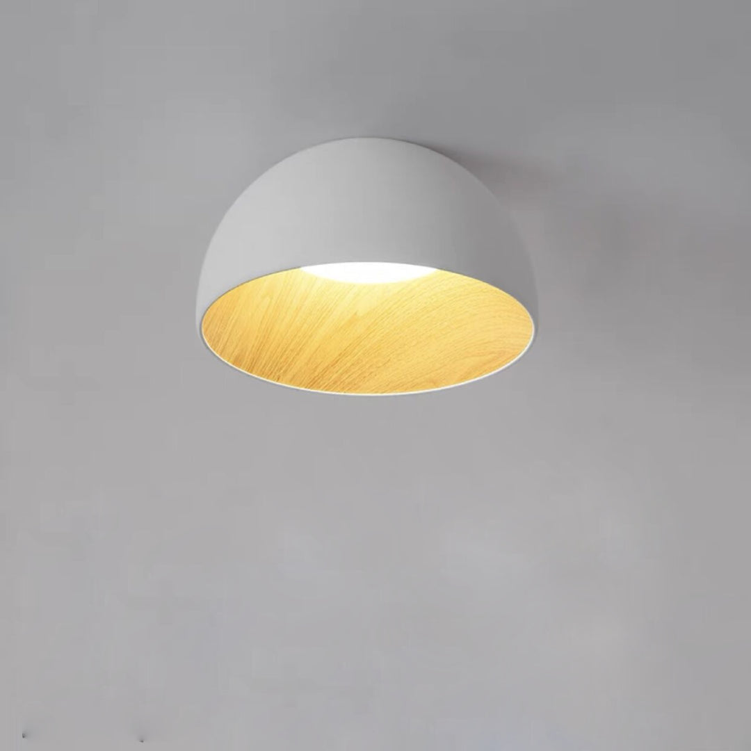 Flat_Mouth_Semicircular_Ceiling_Light_9