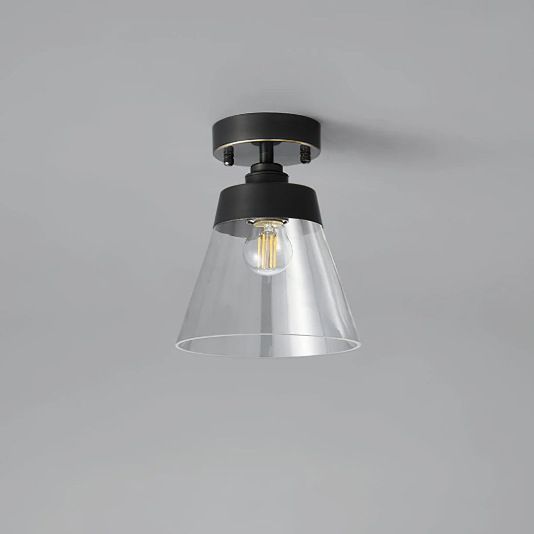 Horn_Glass_Ceiling_Lamp_11