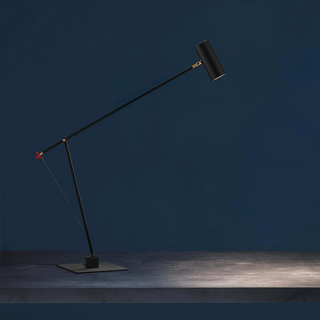 Long Arm Table Lamp-12