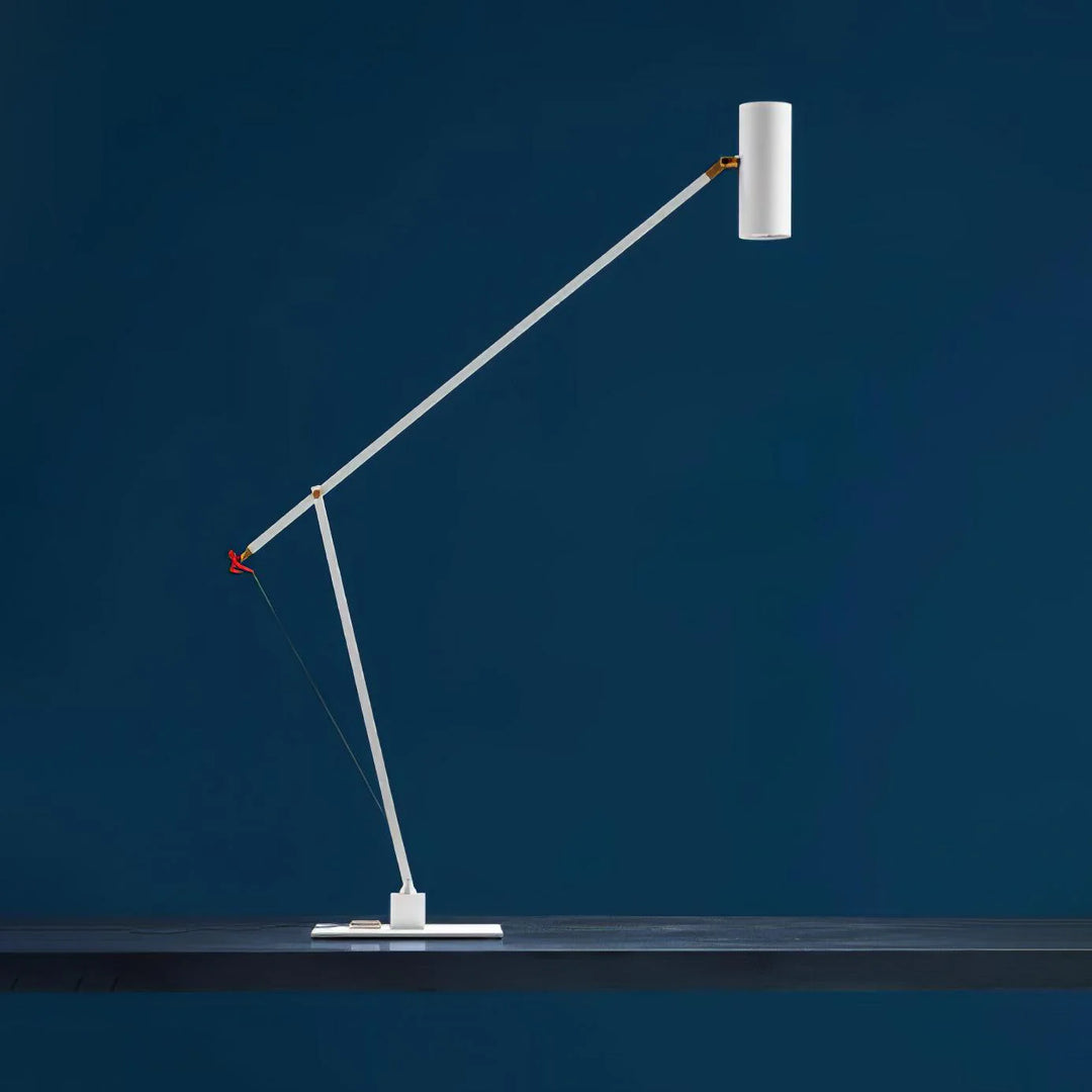 Long Arm Table Lamp-14