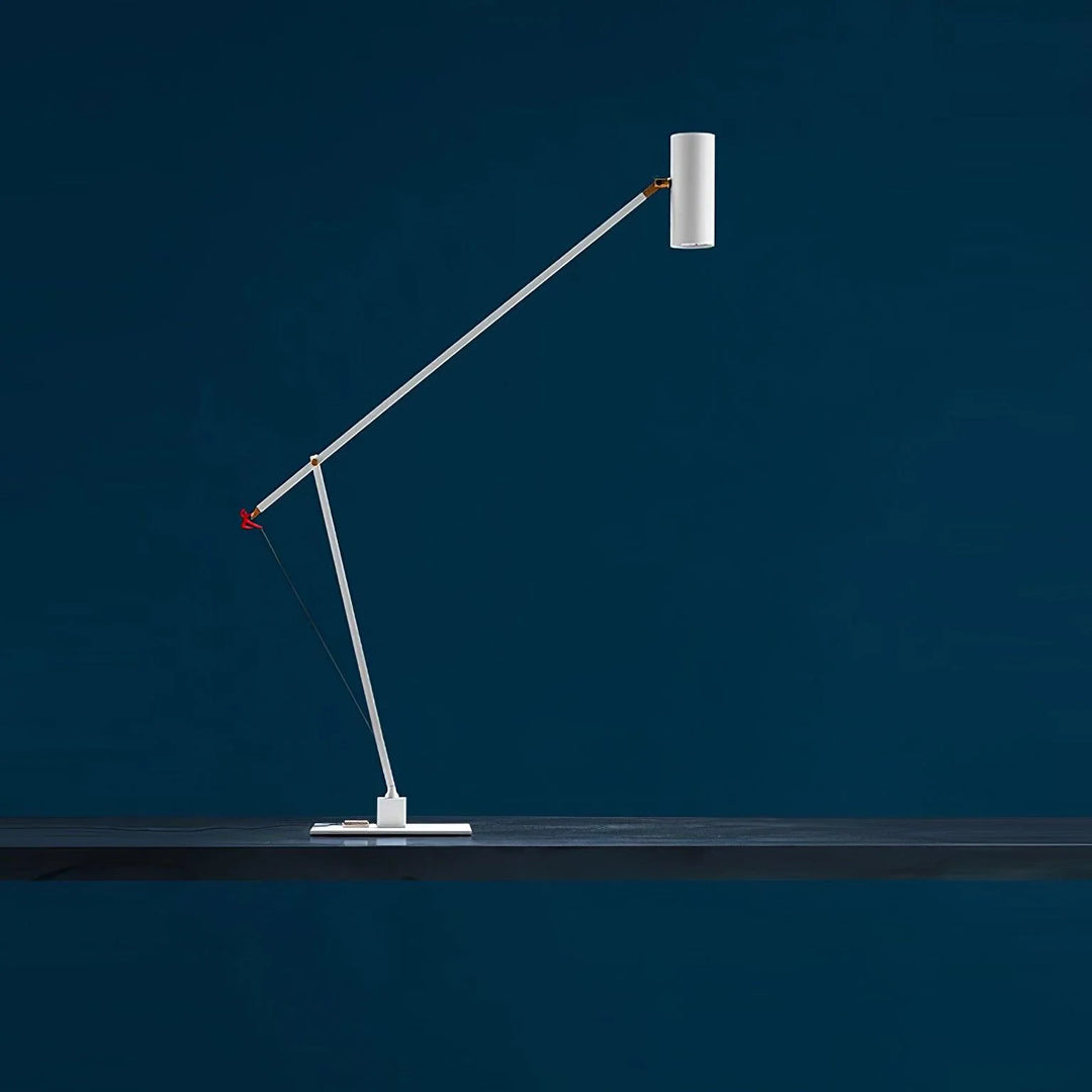Long Arm Table Lamp-19