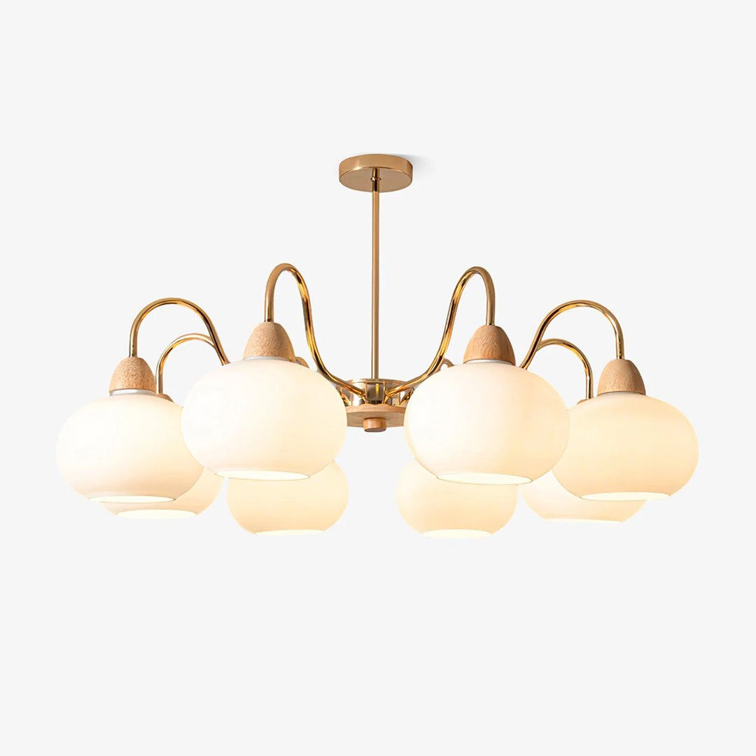 Glass Persimmon Chandelier – Dekoorlight