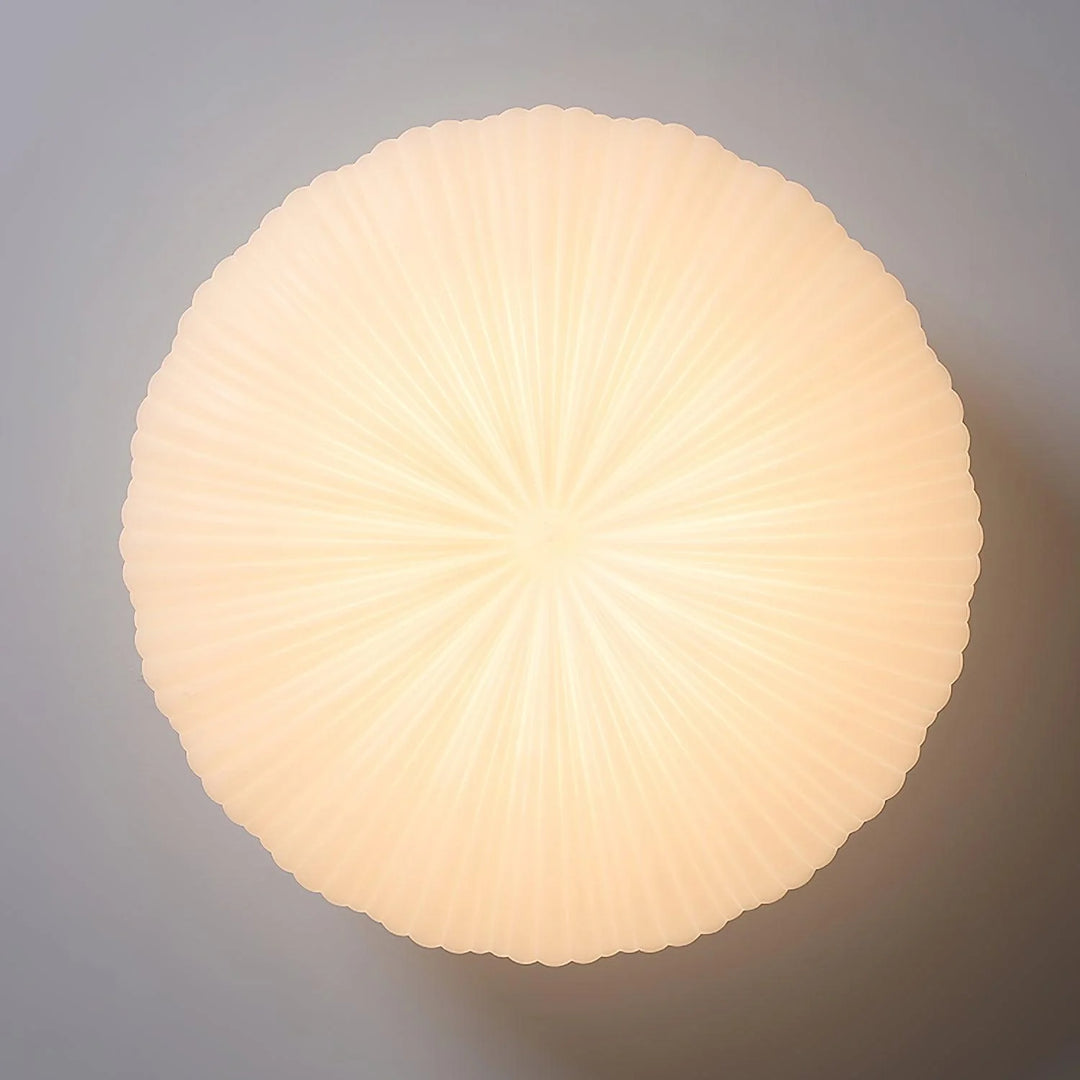Minimalist_Shell_Round_Ceiling_Light_5