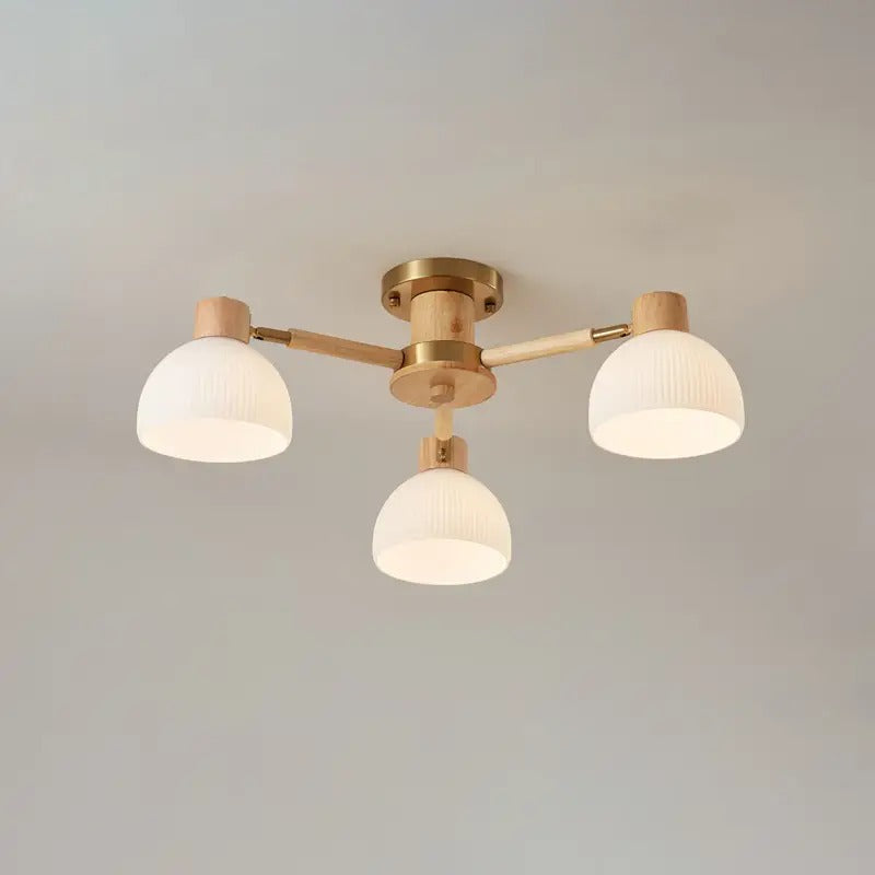 Modern_Flairis_Ceiling_Lamp_2