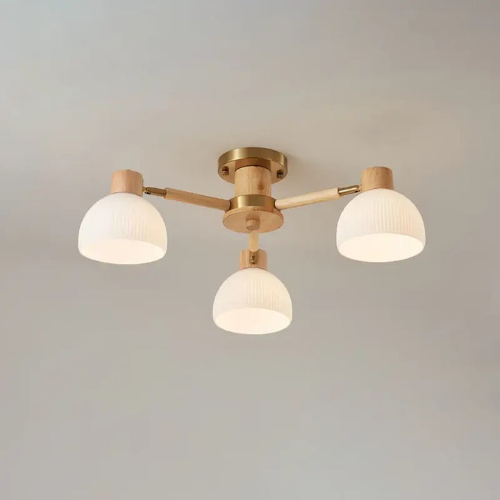Modern_Flairis_Ceiling_Lamp_2