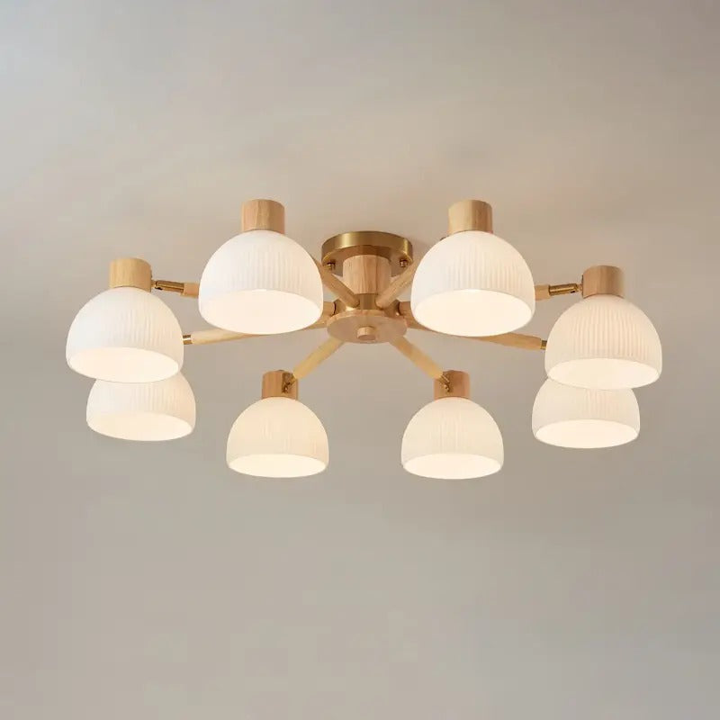 Modern_Flairis_Ceiling_Lamp_4