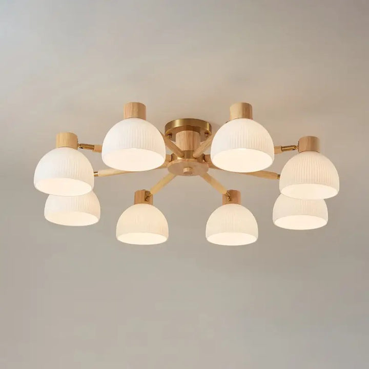 Modern_Flairis_Ceiling_Lamp_4