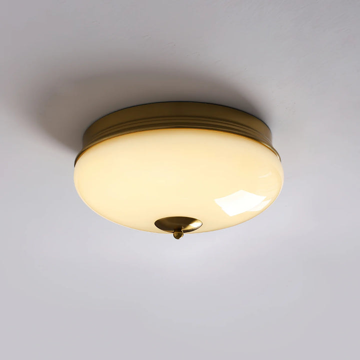 OTT Circular Ceiling Lamp