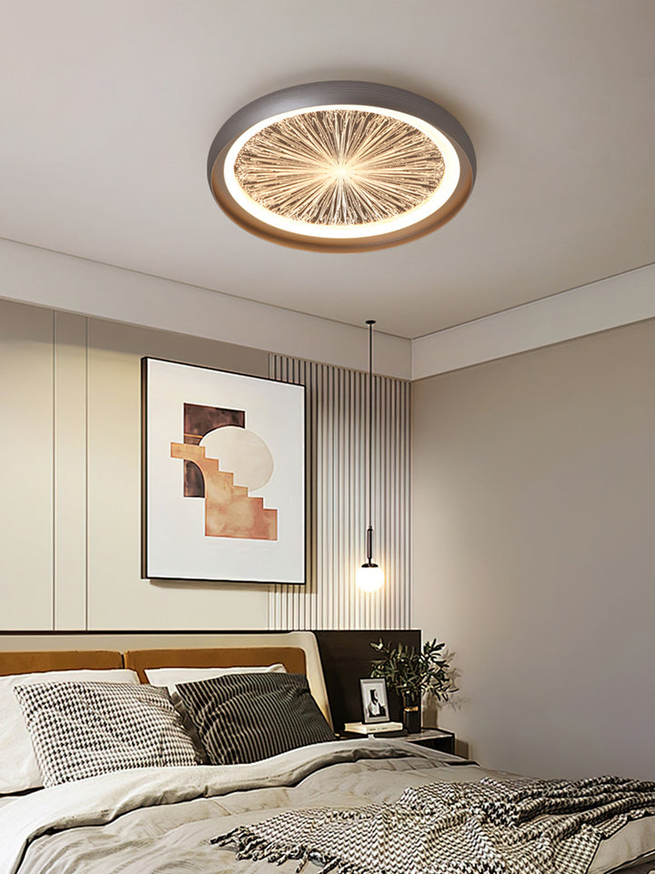 Putangi_Creative_Ceiling_Light_12