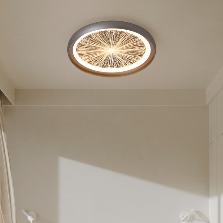 Putangi_Creative_Ceiling_Light_7