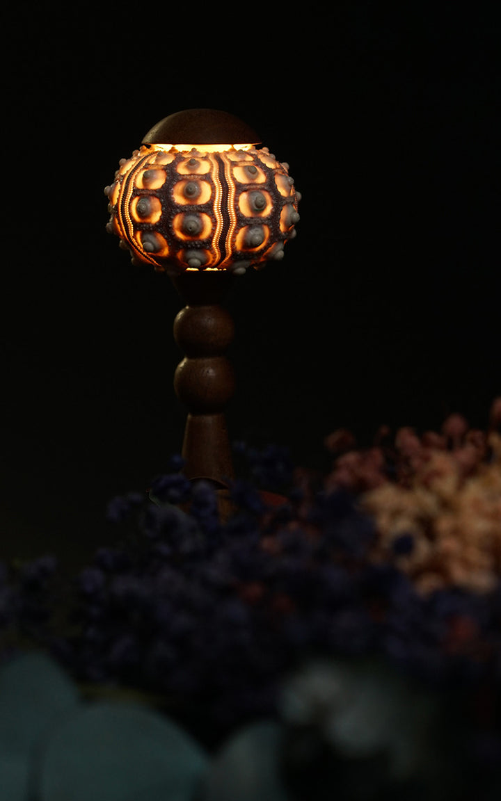 Sea Urchin Table Lamp 11