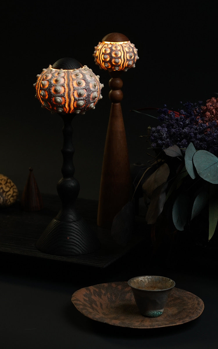 Sea Urchin Table Lamp 13