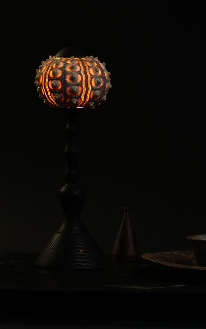 Sea Urchin Table Lamp 14