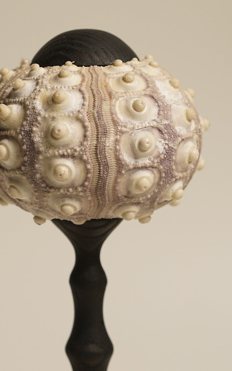 Sea Urchin Table Lamp 3