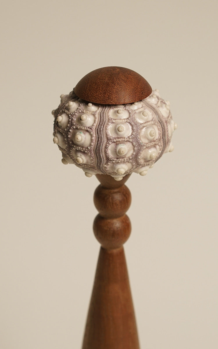 Sea Urchin Table Lamp 8