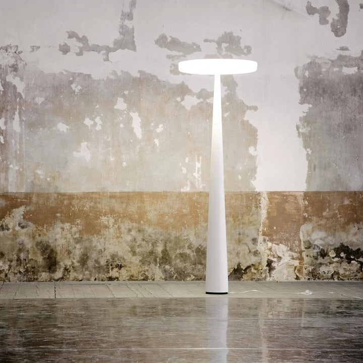 Simple Balanced Floor Lamp 10