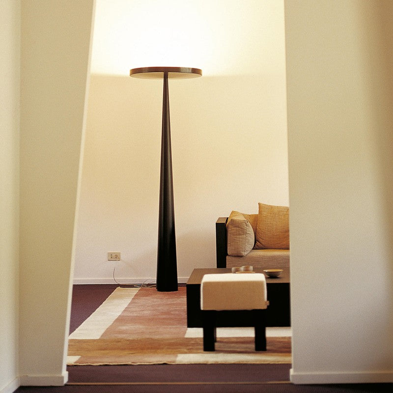 Simple Balanced Floor Lamp 6