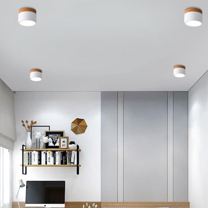 Spot_Ceiling_Lamp_07