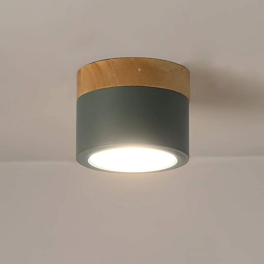 Spot_Ceiling_Lamp_13