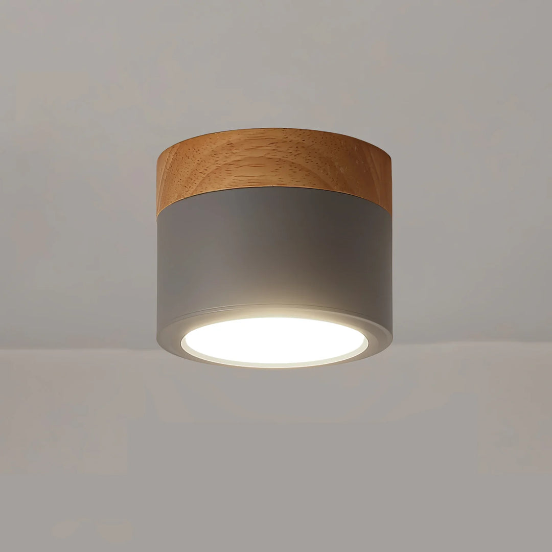 Spot_Ceiling_Lamp_14