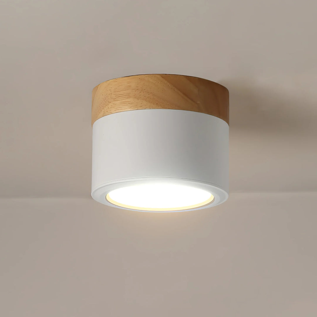 Spot_Ceiling_Lamp_16