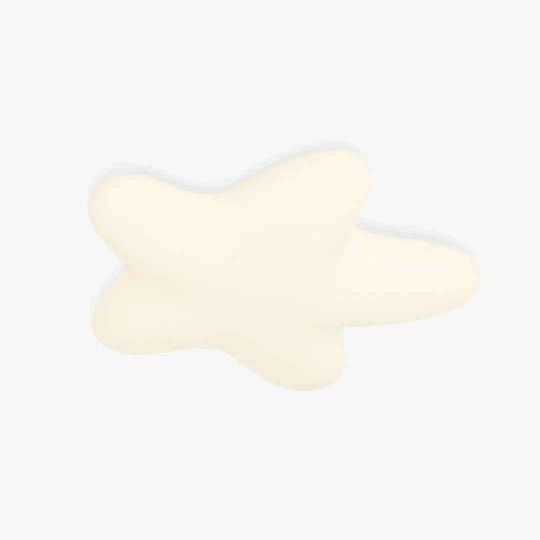 Starfish Ceiling Lamp 1